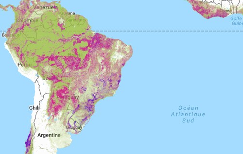 Carte de la déforestation par Global Forest Watch