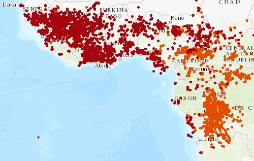 Carte des incendies de forêt par Global Forest Watch