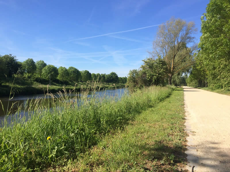 Bordure d'un chemin tondu partiellement pour conserver la biodiversité.