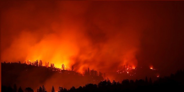 Le feu de forêt de Camp Fire en Californie a été très meurtrier en novembre 2018.